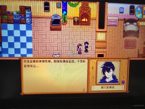 星露谷物语巴士怎么坐