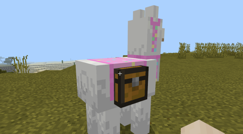 我的世界羊驼装什么