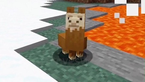 我的世界羊驼装什么[图2]