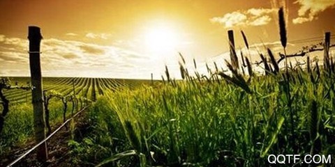 陕西智慧农业气象[图2]