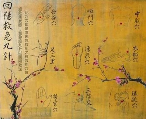 九阴真经怎么充明俊[图2]