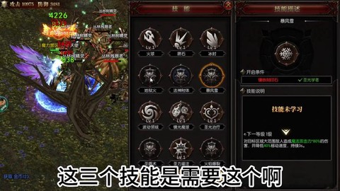 魔域奇迹之龙有什么用