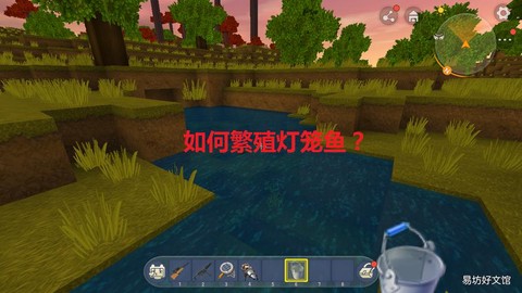 迷你世界怎么去养鱼
