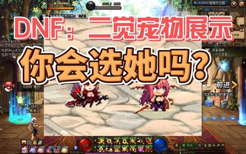 dnf二觉宠物怎么弄