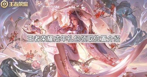 王者荣耀怎么领礼包[图2]