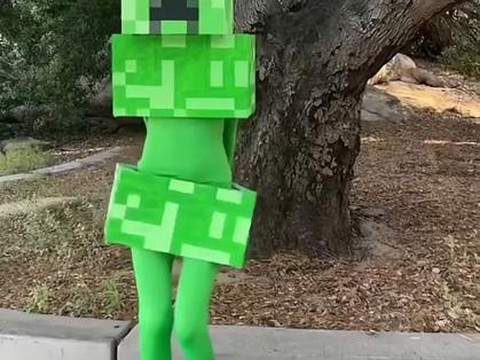 我的世界苦力怕为什么怕猫