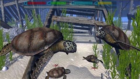 海洋动物模拟器图1