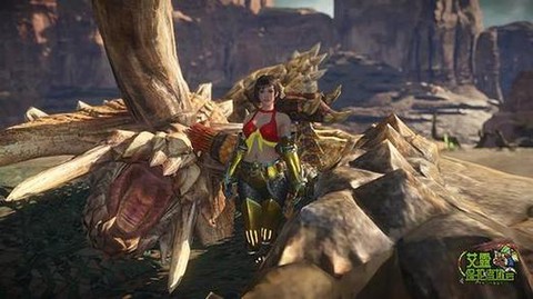 怪物猎人ol怎么狩猎