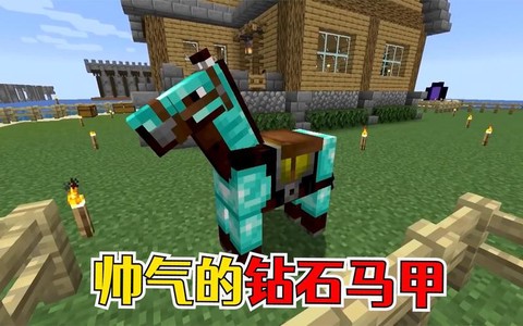 我的世界马铠有什么用