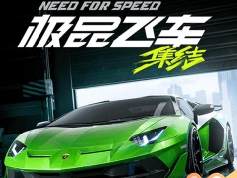 极品飞车名字是什么意思