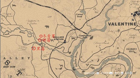 荒野大镖客2如何采药[图2]