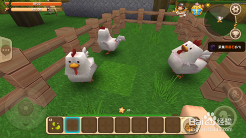 迷你世界怎么生小鸡