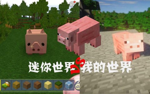 迷你世界怎么给猪喂食