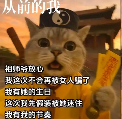 阴阳师走猫是什么意思[图2]