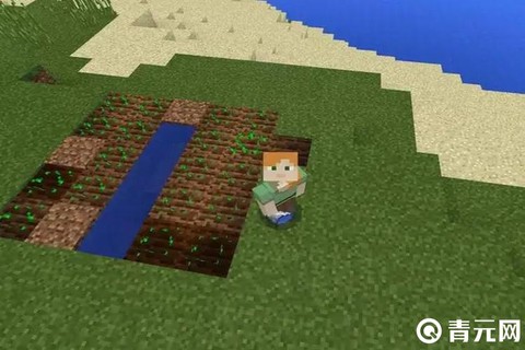 我的世界胡萝卜种子怎么得[图1]