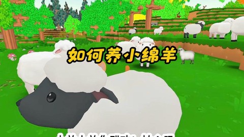 迷你世界的羊怎么繁殖