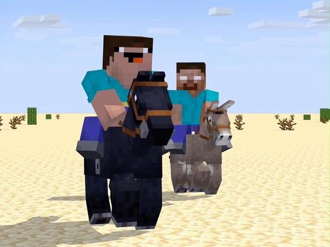 我的世界里怎么骑马[图2]