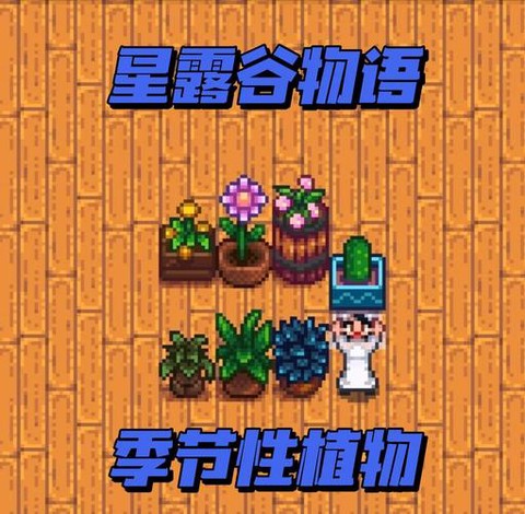 星露谷物语什么季节[图2]