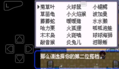 口袋妖怪究极绿宝石5.4[图3]