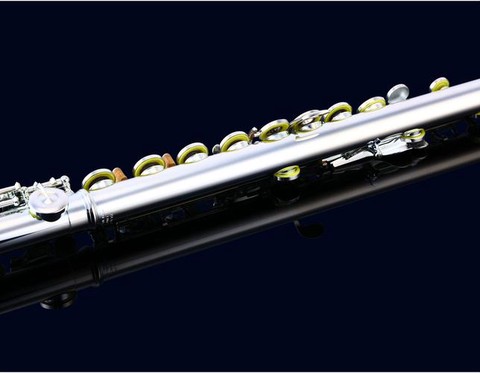 洛克王国长笛怎么得[图2]