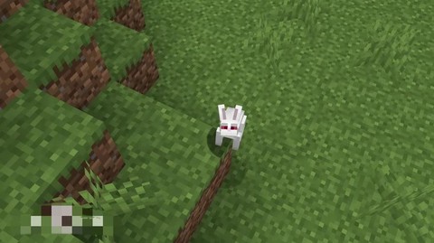 我的世界杀手兔怎么召唤[图2]