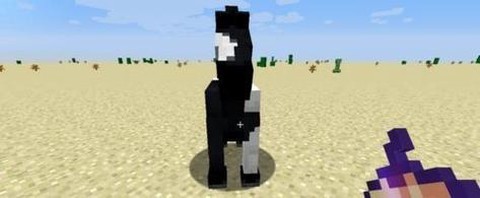 我的世界如何驯服马[图2]