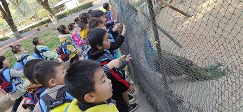 神奇宝贝幼儿园怎么样