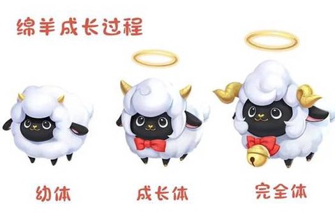 QQ飞车绵羊能开什么[图2]