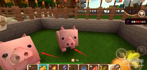 迷你世界拿什么引猪