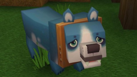 迷你世界怎么驯化狗[图2]