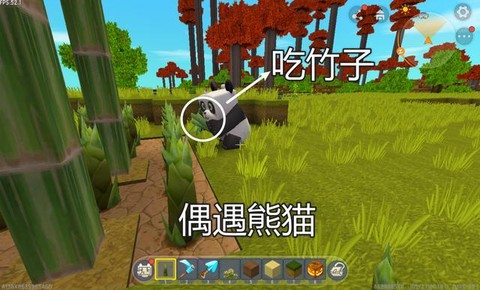 迷你世界怎么喂熊猫吃竹子