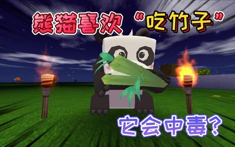 迷你世界怎么喂熊猫吃竹子[图1]