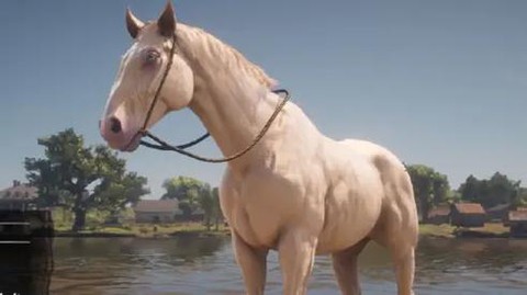 荒野大镖客什么马大[图1]