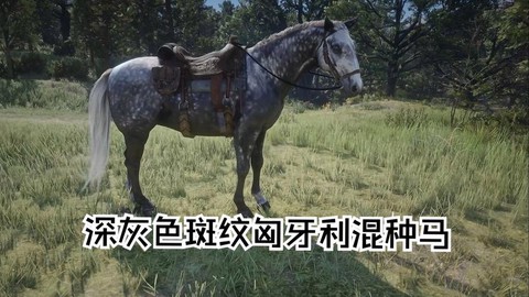 荒野大镖客什么马大[图2]