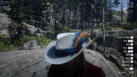 荒野大镖客2什么饰品[图2]