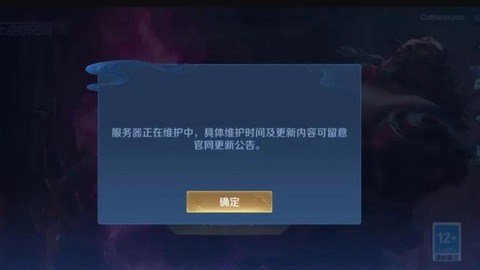 王者荣耀为什么登不进去[图2]