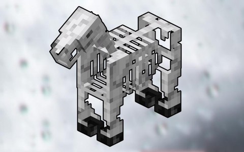 我的世界骷髅马装什么