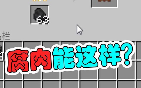 我的世界手机版腐肉有什么用