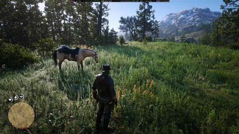 荒野大镖客打猎什么