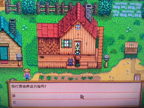 星露谷物语猫猫怎么