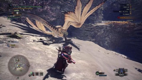 怪物猎人如何捕获怪物[图1]