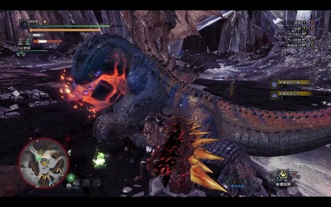 怪物猎人如何捕获怪物[图2]