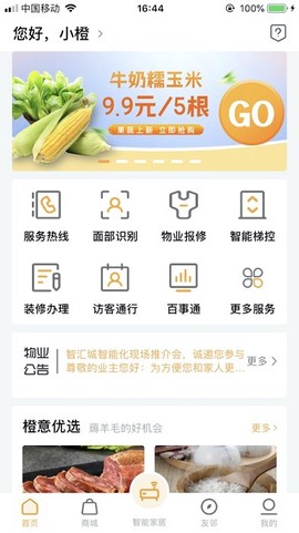 智汇橙[图1]