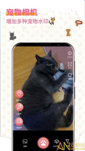 宠物趣味翻译器[图1]