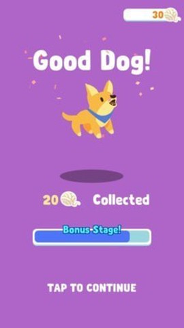 牧羊犬小绵羊图3