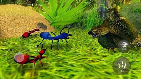 昆虫捣蛋模拟图2