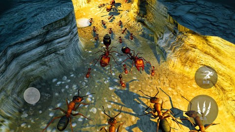 昆虫捣蛋模拟图3