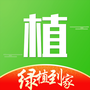 绿植到家