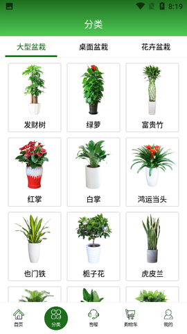 绿植到家图3