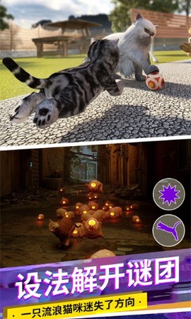 猫咪城市模拟图3